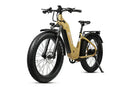 E-Joe 750W Young Electric E-Scout Pro ST Electric Bike