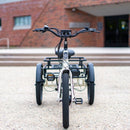 Emojo 500W Bull Urban Cruiser Step-Thru Electric Bike Trike