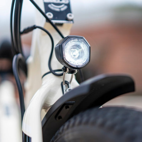 Emojo 500W Bull Urban Cruiser Step-Thru Electric Bike Trike