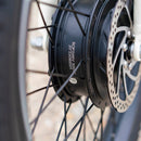 Emojo 500W Bull Urban Cruiser Step-Thru Electric Bike Trike