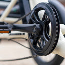 Emojo 500W Bull Urban Cruiser Step-Thru Electric Bike Trike