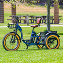 Electric Bike Addmotor GrandtanX Park