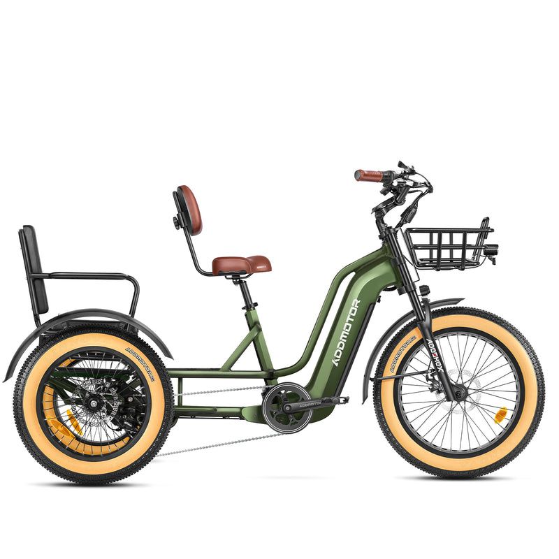 Addmotor 750W 48V Greattan L Trike Fat Tire Electric Bike