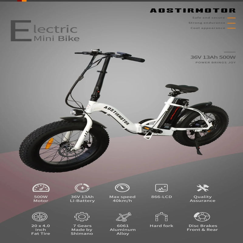Electric Bike Aostirmotor G20 Features