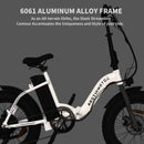 Electric Bike Aostirmotor G20 Frame