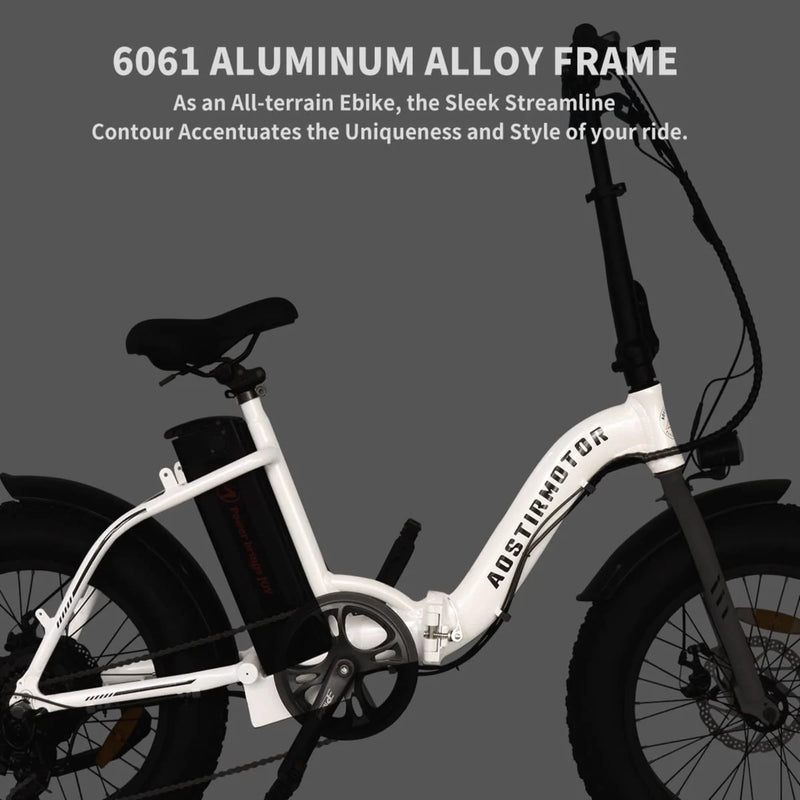 Electric Bike Aostirmotor G20 Frame