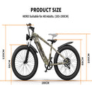 Electric Bike Aostirmotor Hero Dimensions