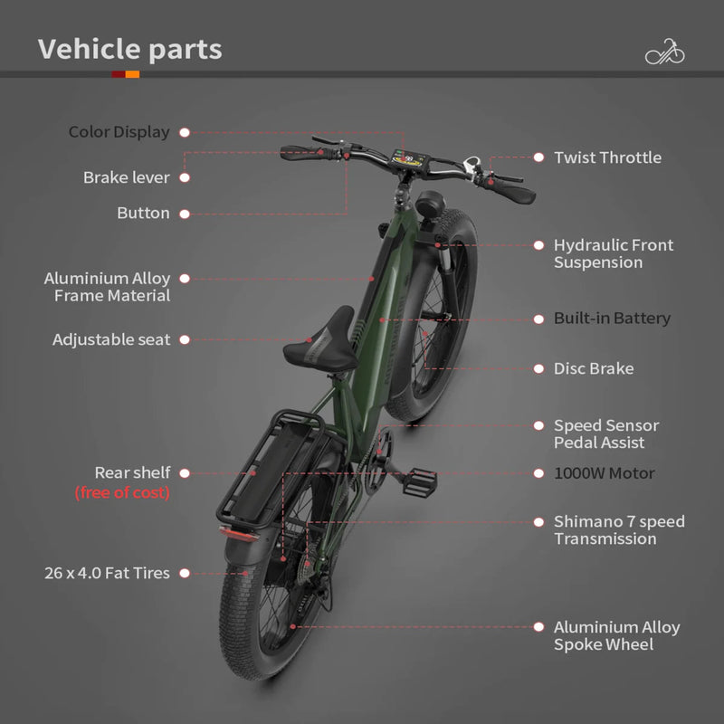 Electric Bike Aostirmotor King Parts