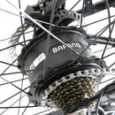 Electric Bike Coastal Cruiser BB-CFO Motor