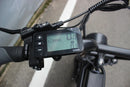 Electric Bike Coastal Cruiser Ripper Pro LCD