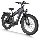 Electric Bike Himiway D5 Rhino Grey Right Front