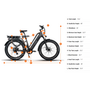 Electric Bike Dirwin Pioneer Plus Dimensions