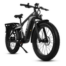Electric Bike E-Joe Cheetah Grey Right Front