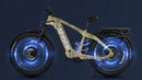 Electric Bike E-Joe Cheetah Wheels