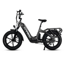 Electric Bike E-Joe Collie Grey Left