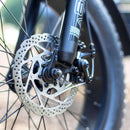 Electric Bike Emojo Bull Trail Brake