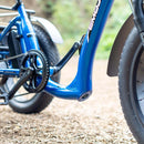 Electric Bike Emojo Bull Trail Crank