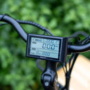 Electric Bike Emojo Bull Trail LCD