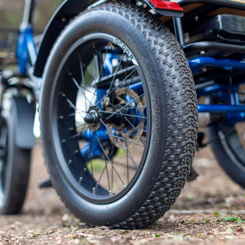 Electric Bike Emojo Bull Trail Tire
