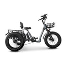 Electric Bike Emojo Bull Trail Gray RIght