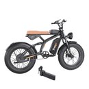 Freego 750W 48V F1 Off-Road Mountain Fat Tire Electric Bike