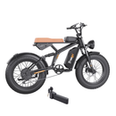 Freego 750W 48V F2 Pro Off-Road Mountain Fat Tire Electric Bike