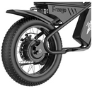 Electric Bike Freego M1 Motor