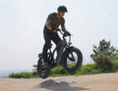 Electric Bike G-Force RS Dirt