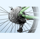 Electric Bike Himiway A7 Derailer