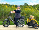 Electric Bike Himiway BigDog Dog