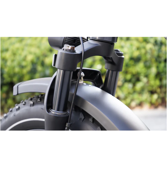 Electric Bike Himiway BigDog Suspension