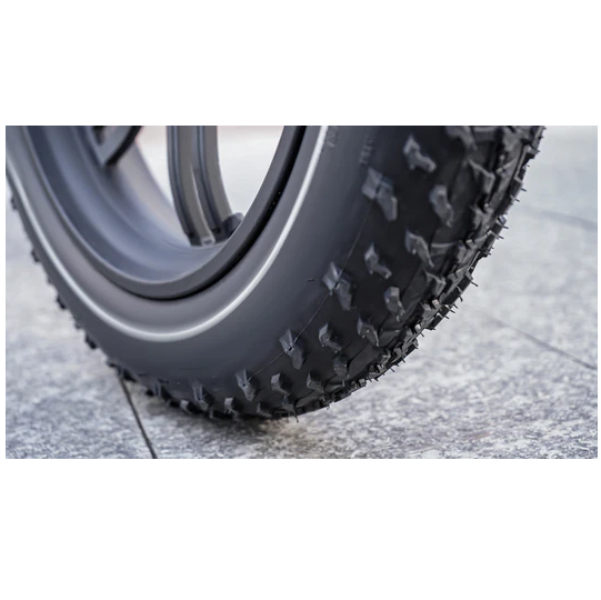 Electric Bike Himiway BigDog Tire