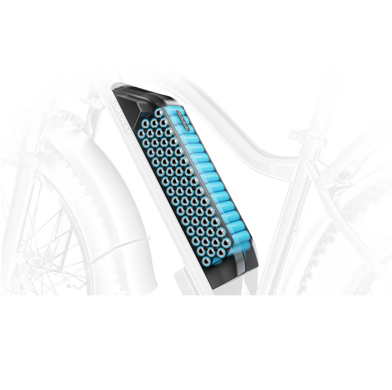 Electric Bike Himiway Cruiser Battery