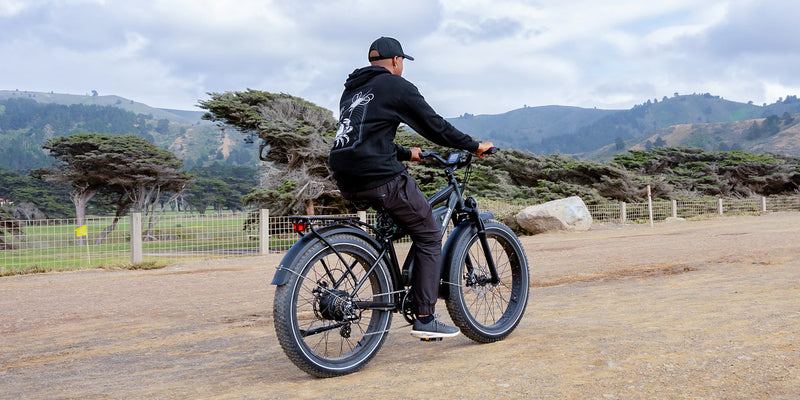 Electric Bike Himiway Cruiser Dirt