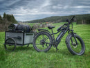 Electric Bike Himiway Cruiser Meadow