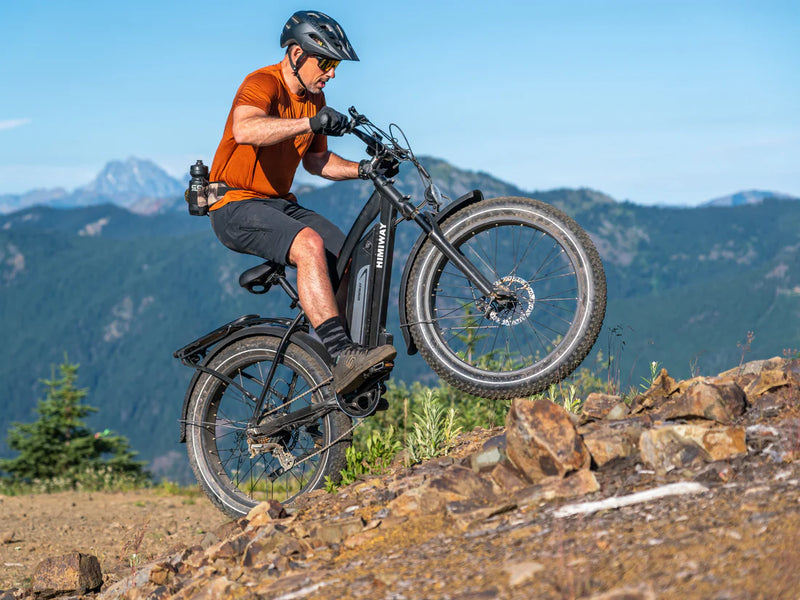 Electric Bike Himiway Cruiser Mountain