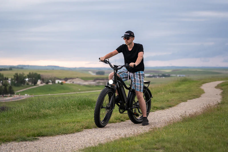 Electric Bike Himiway Cruiser Path