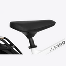 Electric Bike Himiway D5Pro Seat