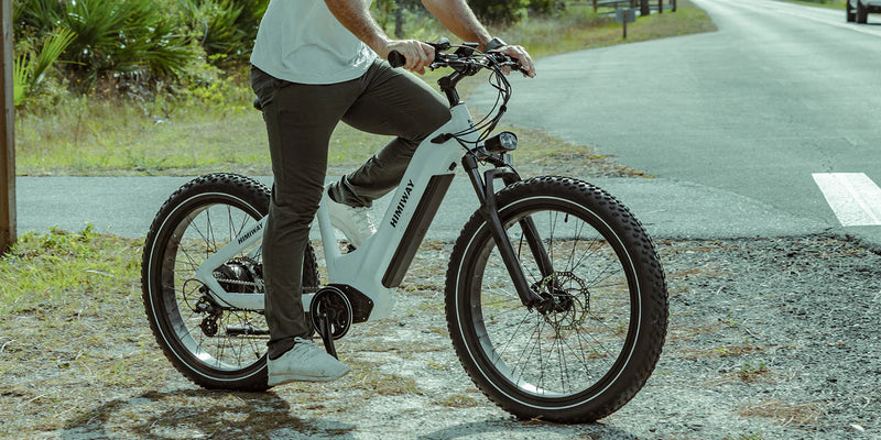 Electric Bike Himiway D5ZebraST Street