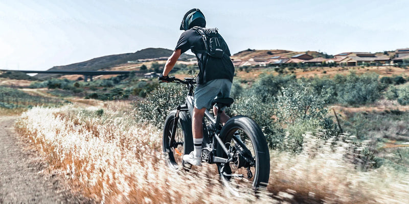 Electric Bike Himiway Cobra Shrubs