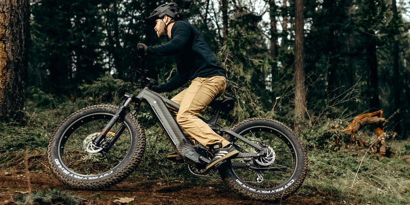 Electric Bike Himiway Cobra Woods
