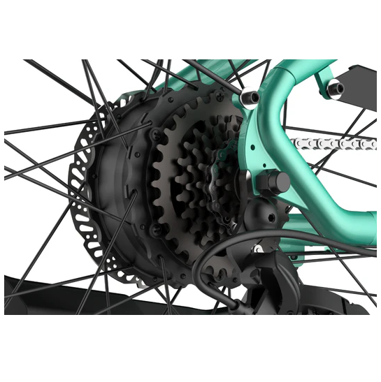 Electric Bike Himiway Rambler Hub