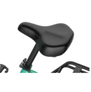 Electric Bike Himiway Rambler Seat