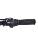 Electric Bike Micargi Raietea Grip