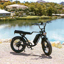 Electric Bike Nakto F2 Lake View