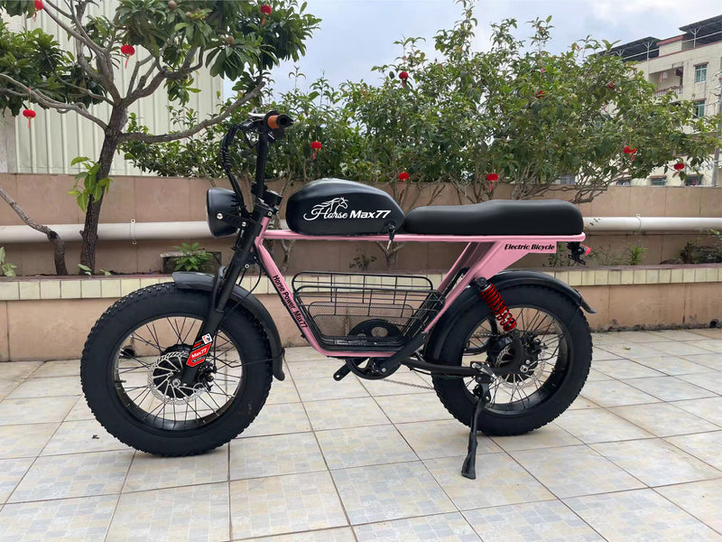 big wheel electric bicycle Olic 750W 48V Horse Power Max-77 Fat Tire Electric Bike