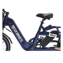 Electric Bike Revi Flux Battery