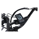 Electric Bike Revi Flux LCD