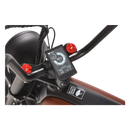 Electric Bike Revi Prowler LCD