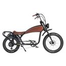 Electric Bike Revi Prowler Rack